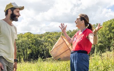 Les Mains Dans La Terre